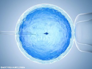 靠谱试管代孕机构